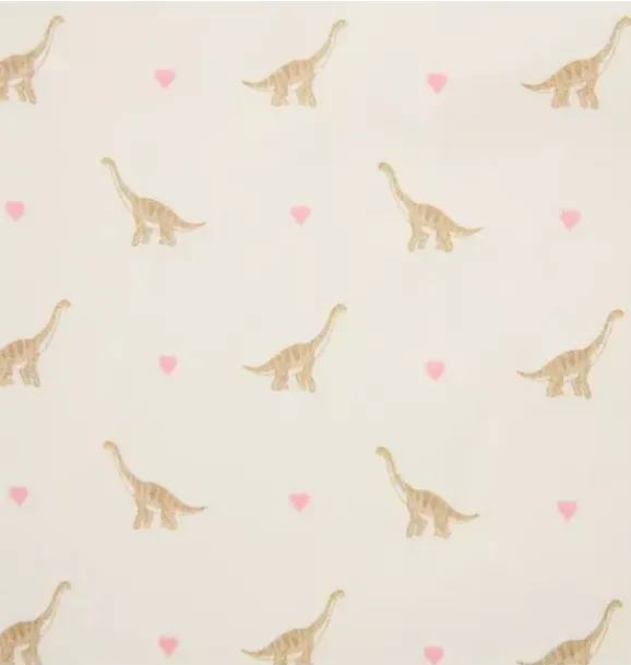 Janie and Jack Sets|Sets-Baby Bundle of Love Valentine Gift Set jet ivory dinosaur heart