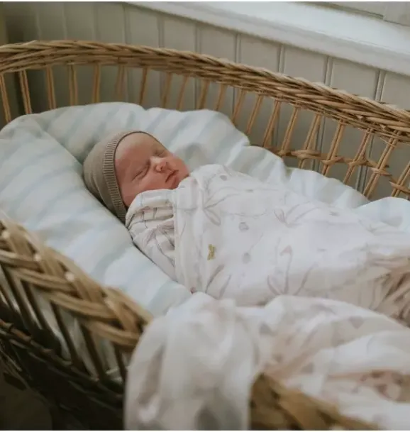 Janie and Jack Nursery|Blankets And Quilts-Bows & Butterfly Kisses Swaddle - pink