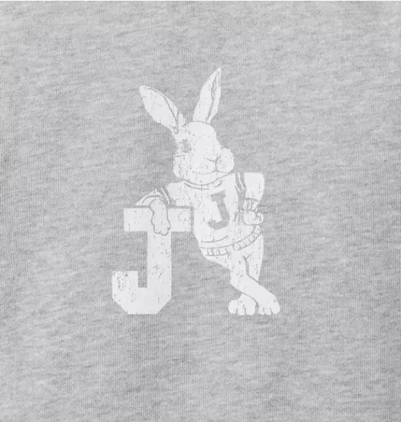 Janie and Jack Sweaters & Sweatshirts-Bunny French Terry Sweatshirt classic grey heather