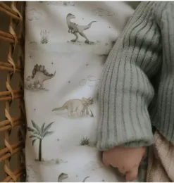 Janie and Jack Sheets|Nursery-Dino Dreams Crib Sheet - sage