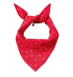 Janie and Jack Pet Apparel|Petite Plume-Dog Bandana in anchors away