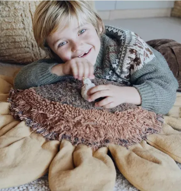 Janie and Jack Decorative Pillows And Throws-Floor Cushion Sunflower honey and brown