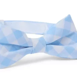 Janie and Jack Ties|Suiting-Gingham Bowtie breezy blue gingham