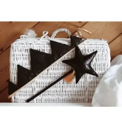 Janie and Jack Kids Accessories|Dress Up-“” Crown black sequins