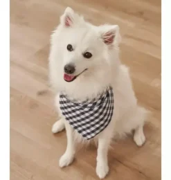 Janie and Jack Pet Apparel|Dog Accessories-Dog Bandana light blue gingham
