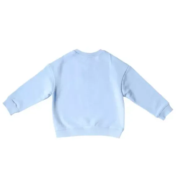 Janie and Jack Kids Clothing-Lil Bro Crewneck Sweatshirt blue