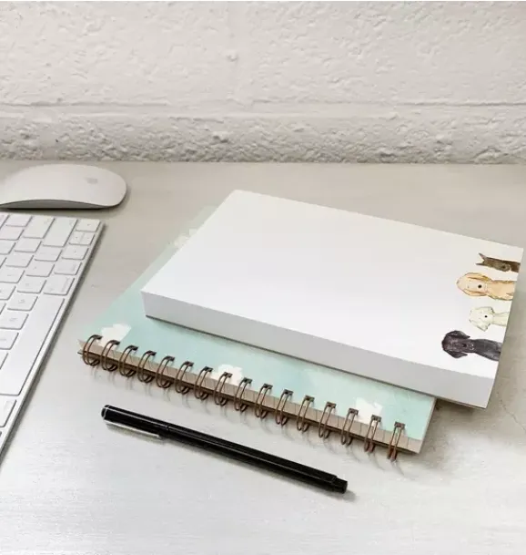 Janie and Jack Stationery--Stripe Notepad multi