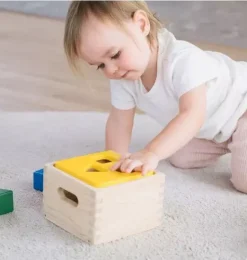 Janie and Jack Development Toys-Shape & Sort It Out multi