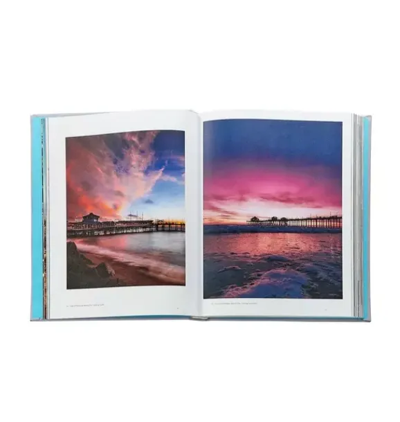 Janie and Jack Books-Trope Los Angeles LEATHER EDITION lilac