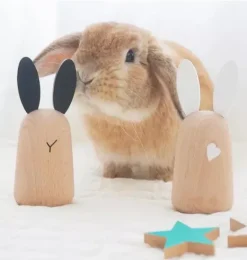 Janie and Jack Development Toys-Usagi Wooden Bunny Chimes multi