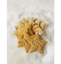 Janie and Jack Seasonal Décor-Velvet “” Garland with Stars honey dust